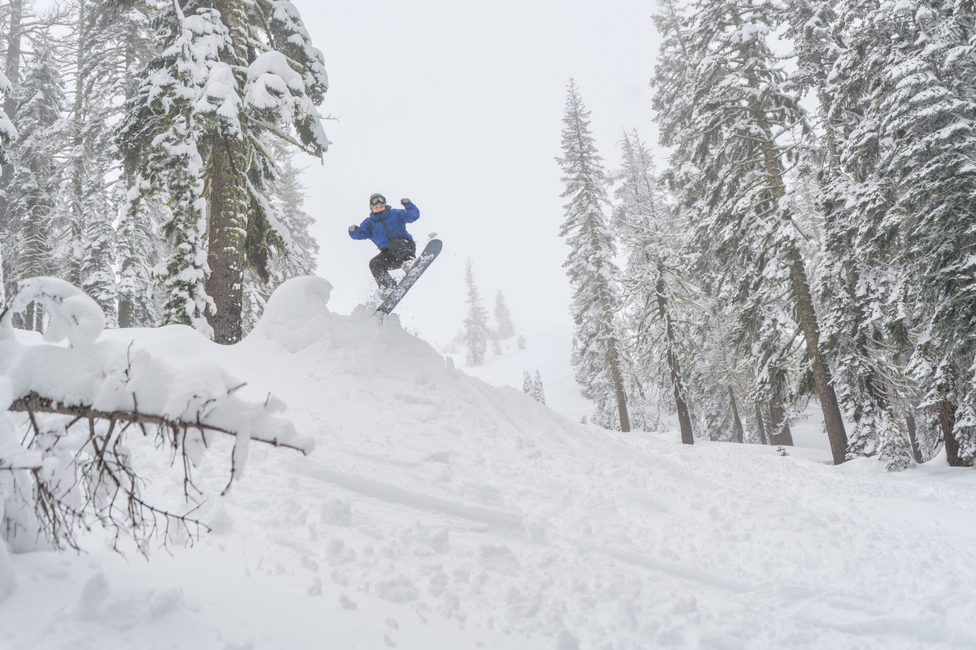 KristaHolden2024_BTBJan24-214